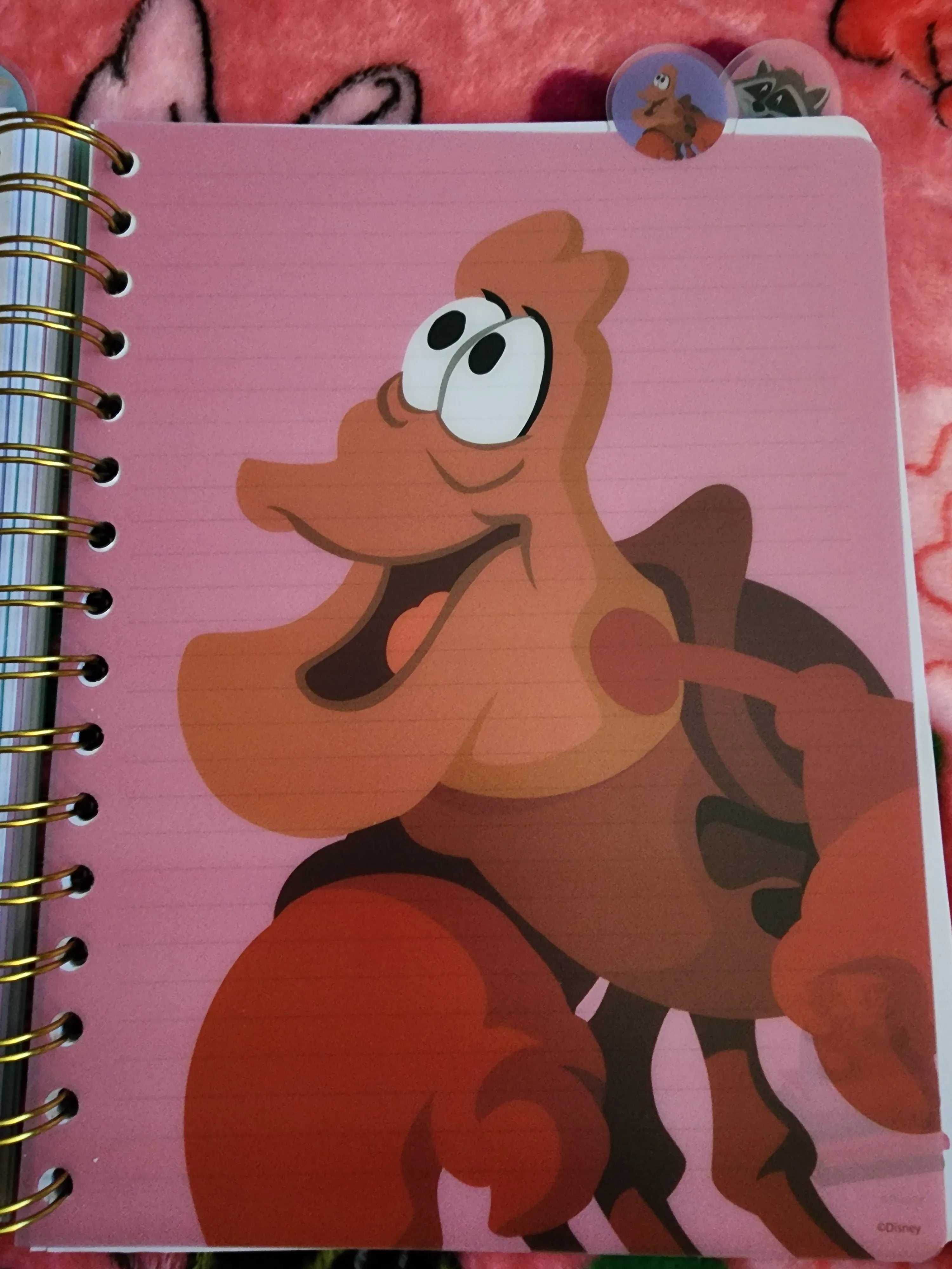 Disney Sidekicks Notebook