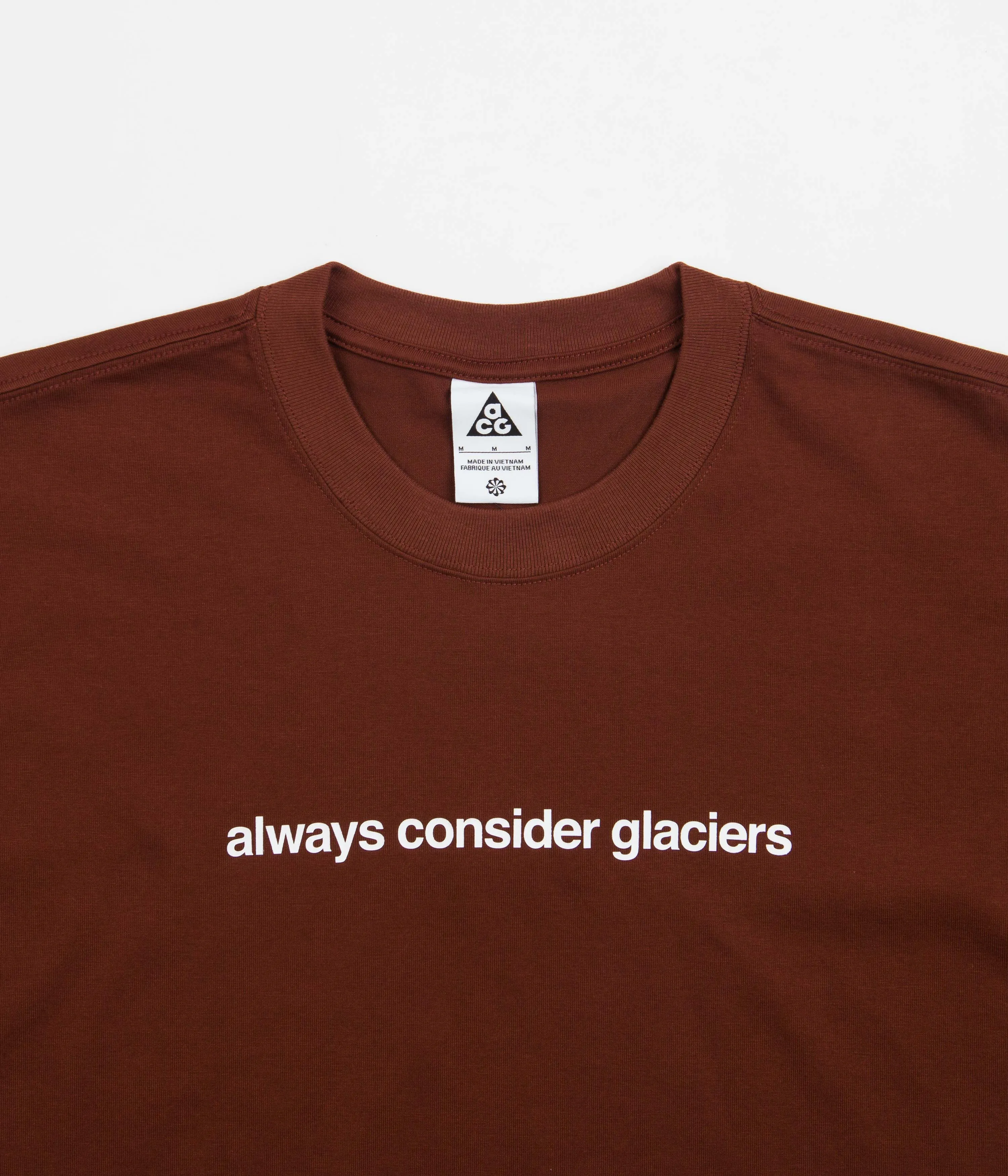 Nike ACG Glacier T-Shirt - Oxen Brown